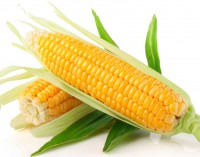 有機水果玉米箱